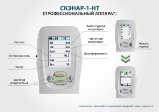 СКЭНАР-1-НТ (исполнение 01)  в Кушве купить Скэнар официальный сайт - denasvertebra.ru 