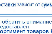 СКЭНАР-1-НТ (исполнение 01 VO) Скэнар Мастер купить в Кушве, Аппараты Скэнар купить в Кушве, Скэнар официальный сайт - denasvertebra.ru