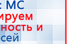 Электроды Скэнар -  двойной овал 55х90 мм купить в Кушве, Электроды Скэнар купить в Кушве, Скэнар официальный сайт - denasvertebra.ru